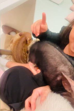 子連れに神っていたサンシャイン@ハロウィンの記事動画