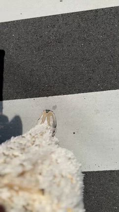 長男のリフレッシュ方法の記事動画