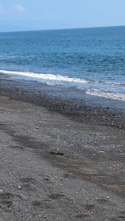 アツアツ砂浜でアーシング！土佐の夏休み 2025の記事動画