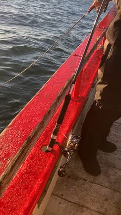 11.23日りき丸キャスティングの記事動画