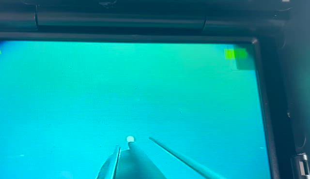 釣りたいの記事動画