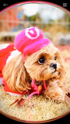 泣きじゃくった理由の記事動画