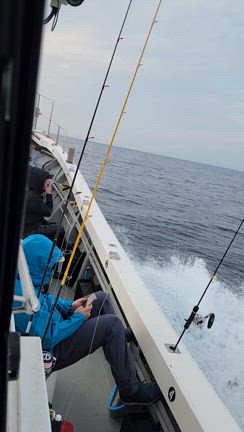 11月15日(金)　タルイカ便の記事動画