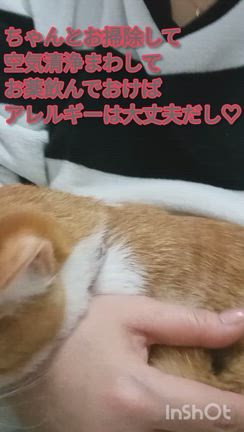 あっこのまぁるいお家〜カミングアウト〜飲み三昧の記事動画