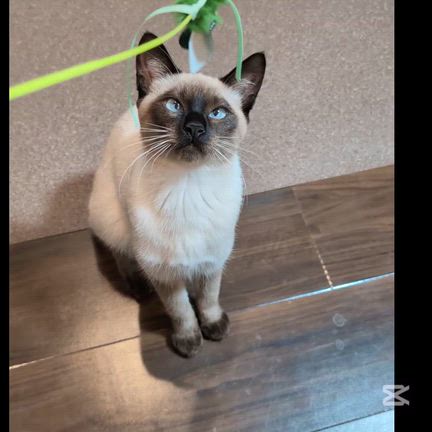 冬季間の営業スタイルが変わります。の記事動画