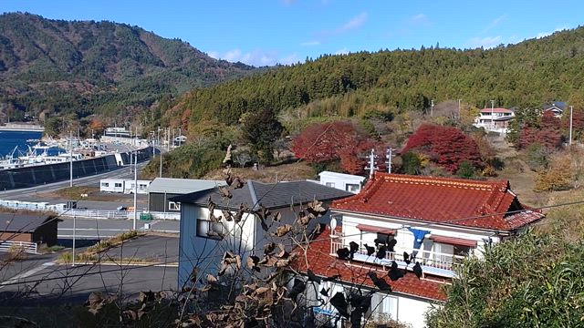 強風注意報発令中！の記事動画