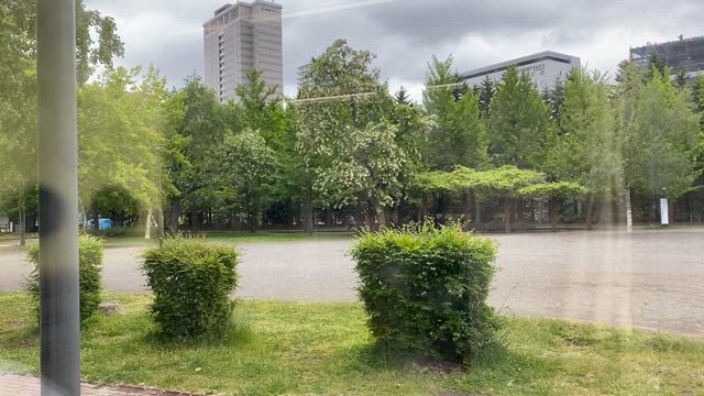 佐倉市のカラーマンホール　昼間ver.の記事動画