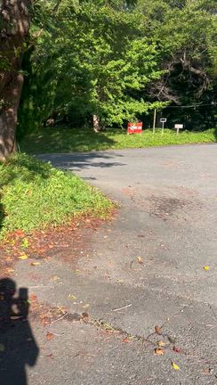 ひつじは、放牧地①に移動しました(^^)の記事動画