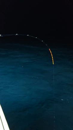 14日(土)深夜ヤリイカの記事動画