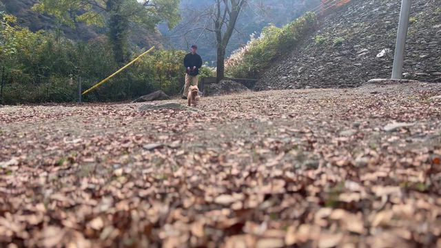 guest snap▷▷の記事動画