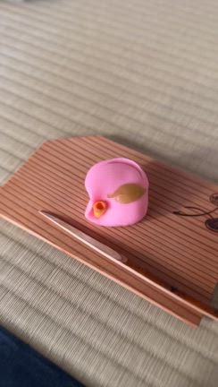 アラフィフがお抹茶をいただいた日の記事動画