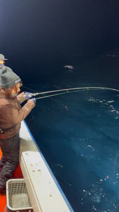 ヤリイカ釣果の記事動画