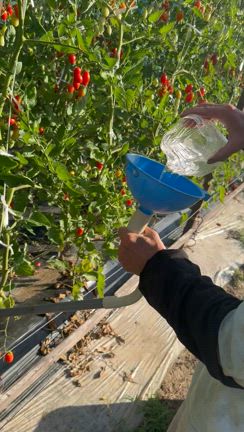 今てきとうなら一生てきとうの記事動画