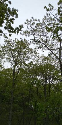 色とりどりの記事動画