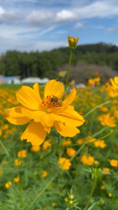 ちょっと気分転換にお出かけの記事動画