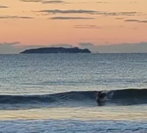 Slipper Midをユーザー様が小波でテスト！衝撃的な速さ！？ | HRS SURF