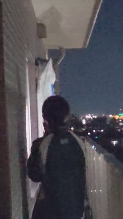 鳩との戦い①掃除＆剣山の記事動画