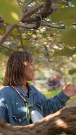 東京でキウイ狩りをしてきました！の記事動画