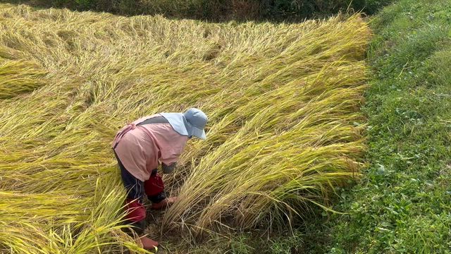 一旦休憩の記事動画