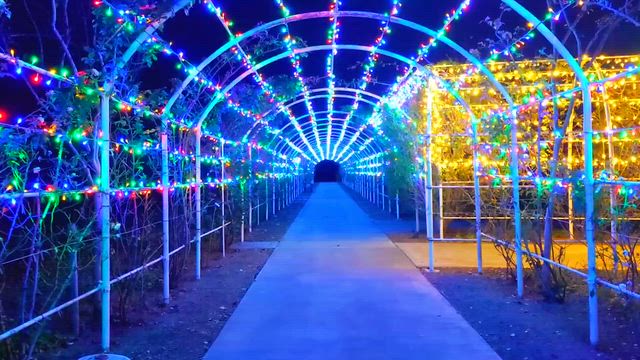 茨城の空から…いがったな!!!の記事動画