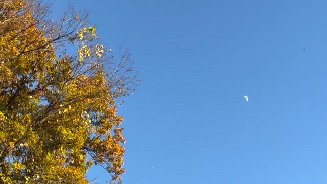 更年期◆ 少しずつの記事動画