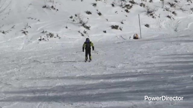 思いっきり下げてみた結果（謎）の記事動画