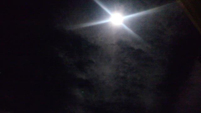 米軍がおかしいの記事動画