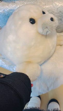 流氷の旅2026の話　揚げたての練り物の記事動画