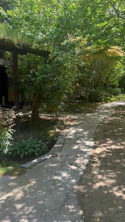 【デトックス】の記事動画