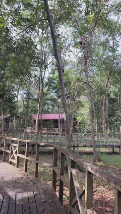 私の中のブロックに気づいた絵の記事動画