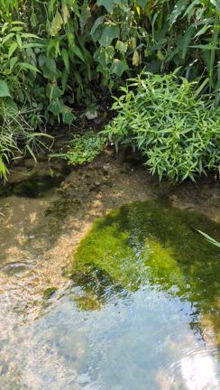 涼しい❓️（笑）の記事動画