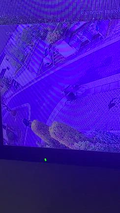 花は咲く／ミニオンおばさん登場の記事動画