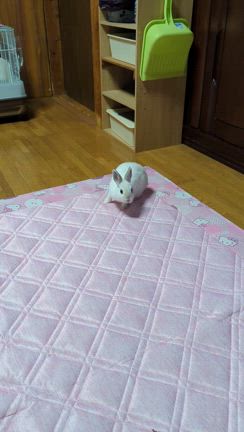 ともりんさんのプロフィールページ