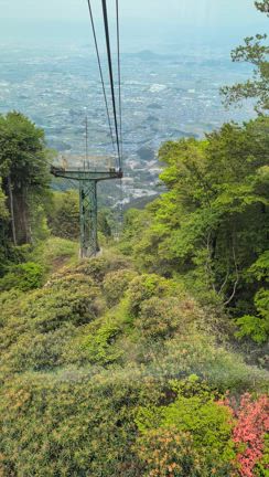 葛城山のつつじの記事動画