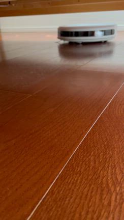 お掃除ロボット　ルンバがやってきた！の記事動画