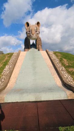 波照間の旅⑦（西表島のンママキーやまねこパーク）の記事動画