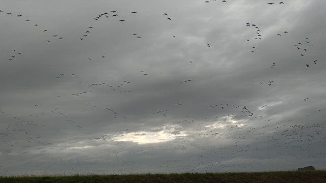 久々投稿の記事動画