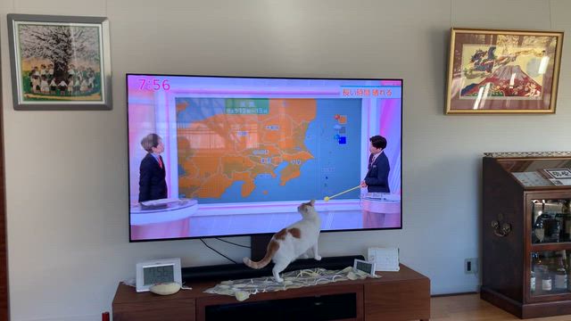 ”知識はチカラ！”の記事動画