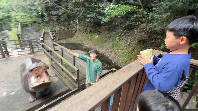 長崎バイオパーク初潜入‼️家族で味わう「ふれあい」と「驚き」の連続の記事動画