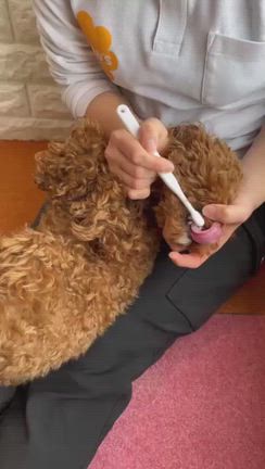 初めて別々に迎える出逢い記念日の記事動画