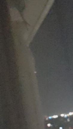 鳩との戦い②掃除＆忌避剤の記事動画