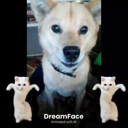 fuku1123chanさんのプロフィールページ