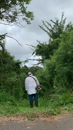 焼き魚の記事動画