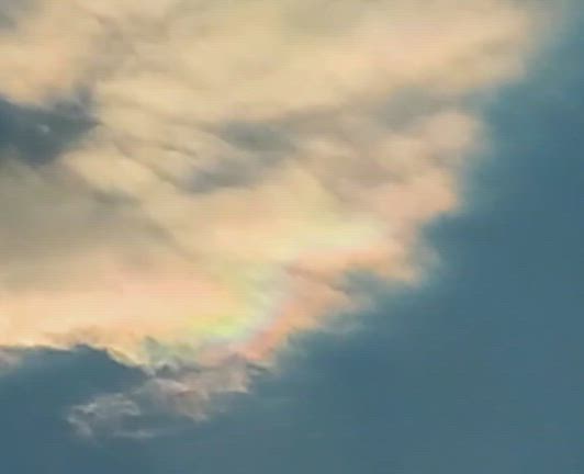 彩雲の記事動画