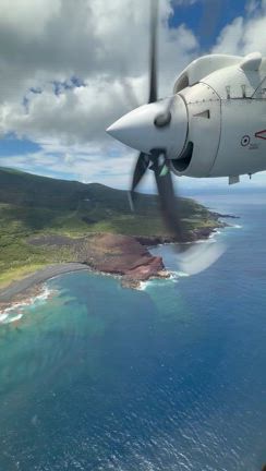 三宅島 SHOWTIME 最高でしたの記事動画