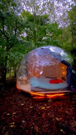 【奈良】秘境の十津川村にある「空中の村」フランス様式のツリーハウスや吊り橋の記事動画