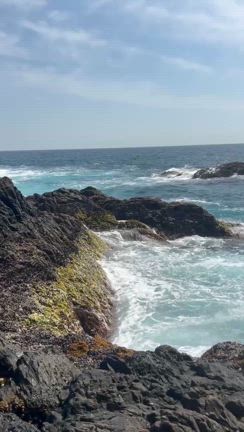 ＧＷ伊豆を諦め三重『贄浦』沖磯でメジナ入れ食いに遭遇の記事動画