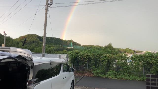 レインボーの記事動画
