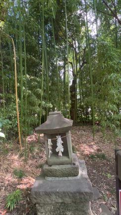 昨日は重陽の節句でした♪の記事動画