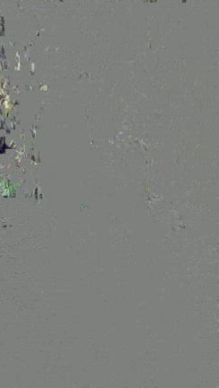 秋田犬♡の記事動画